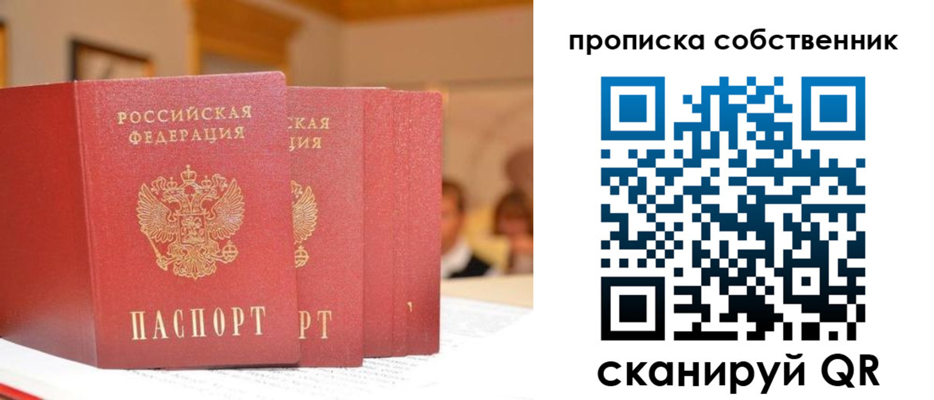 прописка поиск в Мурманске